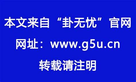 1982 屬|1982年属什么生肖的命 1982年属狗是什么命